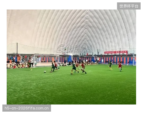 非对称配光的灵活性支撑了场馆从足球比赛到商业演出的快速场景切换，极大提升了设施的商业复用价值